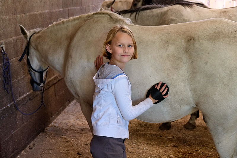 Mina-borstelt-paard