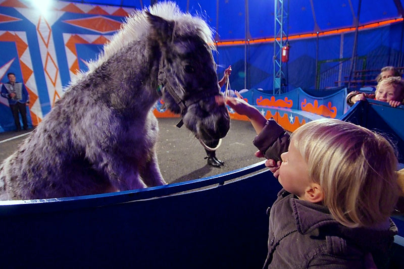 Naar-het-circus