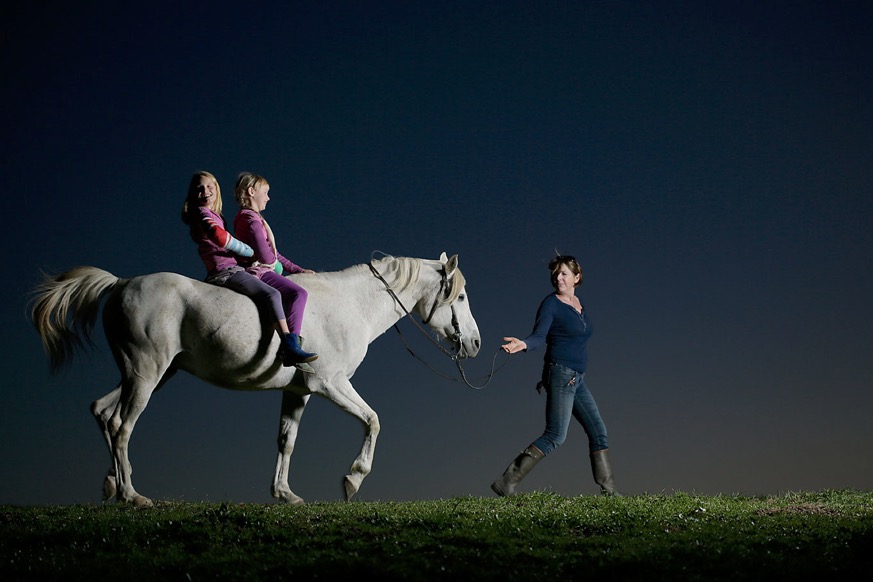 Te-paard