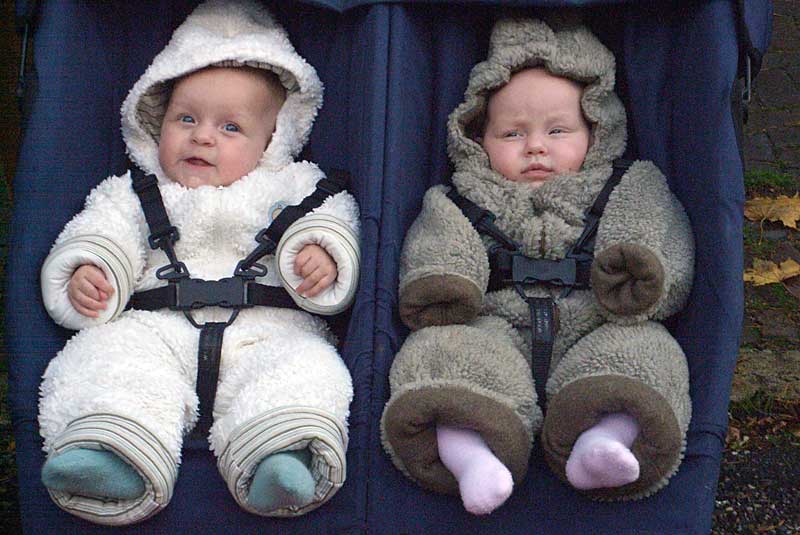 Twee-beren