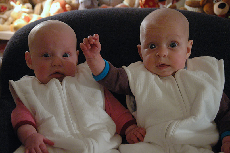 Zusters-in-de-stoel