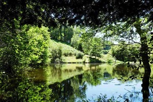 meertje-met-waterlelies