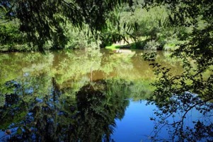 meertje-vanaf-overkant-instroom