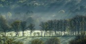Stacks Image 827