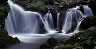 Stacks Image 833