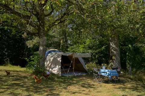 Tent Paradis