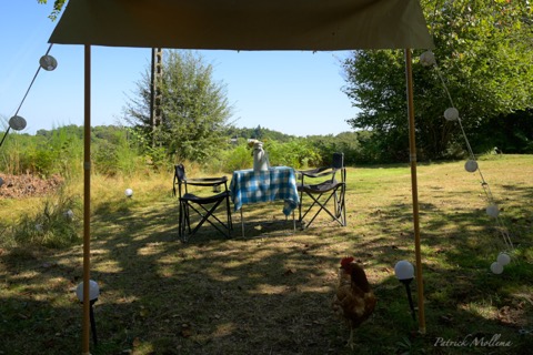 Tent paradis buiten eten