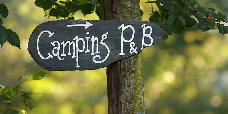 camping_banner